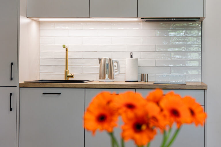 Kitchen with decorative elements in Apartment near Wawel in Krakow