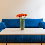 Living room sofa in Apartment near Wawel in Krakow
